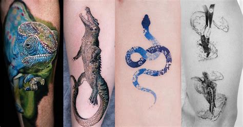 reptile tattoo|45 Rad Reptile Tattoos